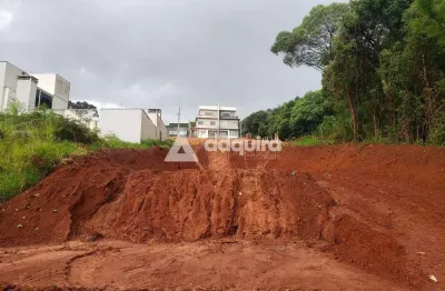 Terreno à venda, já feito limpeza e terraplanagem, com 462m² de área total, estrela, ponta grossa -