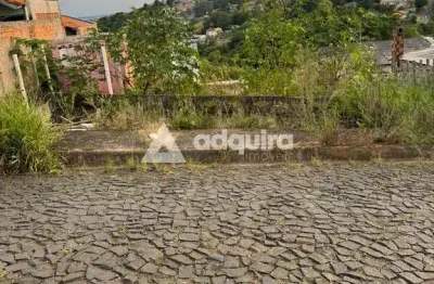 Terreno à venda na Rua Maria Bernadete Oliveira Silveira, Uvaranas, Ponta Grossa