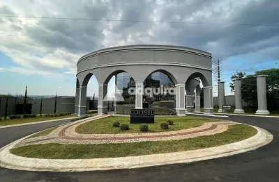 Amplo terreno à venda no condomínio coliseu, jardim carvalho, ponta grossa, pr