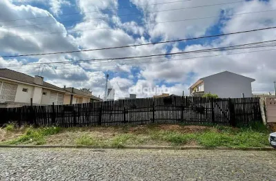 Terreno à venda na Rua Marquês de Olinda, Orfãs, Ponta Grossa