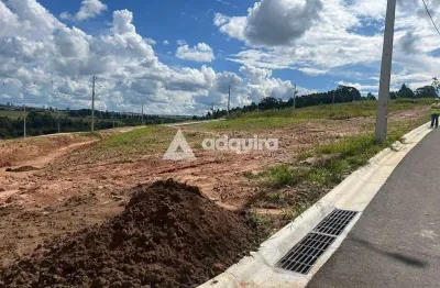 Terreno à venda, jardim carvalho, jardim alpha, ponta grossa, pr