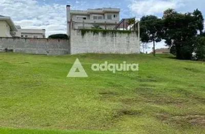 Terreno à venda 300m², jardim carvalho, ponta grossa - pr