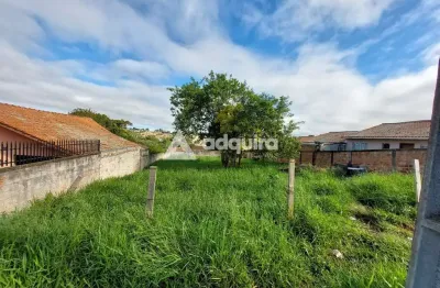 Terreno à venda, colônia dona luíza, ponta grossa, pr