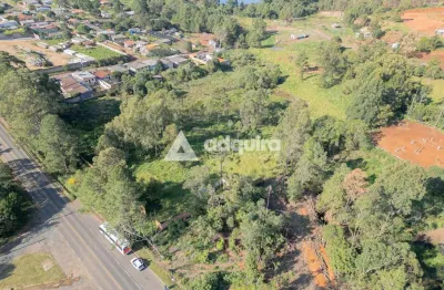Terreno à venda na Avenida DAF, Jardim Carvalho, Ponta Grossa