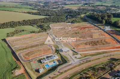 Terreno à venda, no jardim alpha, no jardim carvalho, ponta grossa, pr