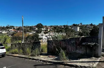 Terreno à venda na Rua Teodoro Sampaio, Oficinas, Ponta Grossa