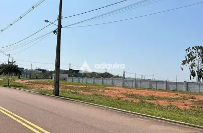 Terreno comercial à venda, jardim carvalho, ponta grossa, pr
