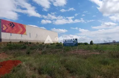 Terreno à venda na Rodovia 376, Cará-cará, Ponta Grossa