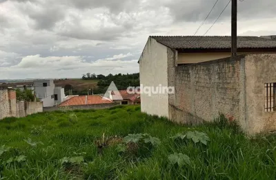 Terreno à venda na Rua Orfile Angelina Passetti, Neves, Ponta Grossa