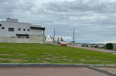 Terreno em condomínio fechado à venda na Rua Visconde de Baraúna, Jardim Carvalho, Ponta Grossa
