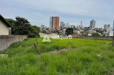 Terreno à venda na Rua Doutor Luiz Conrado Mansani, Oficinas, Ponta Grossa