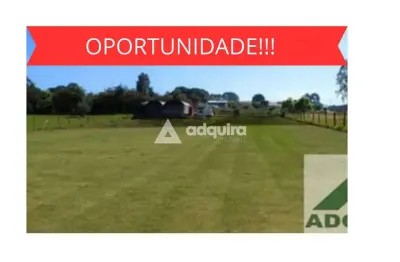 Excelente oportunidade com valor abaixo do mercado. terreno para investidor - ponta grossa/pr