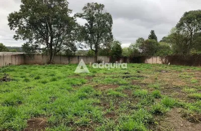 Terreno à venda na Rua José Koteski, Cará-cará, Ponta Grossa