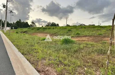 Terreno em condomínio fechado à venda na Rua Moserote, Jardim Carvalho, Ponta Grossa