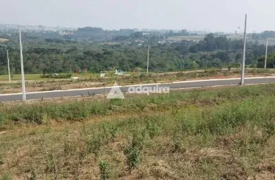 Terreno à venda, jardim alpha, jardim carvalho, ponta grossa, pr