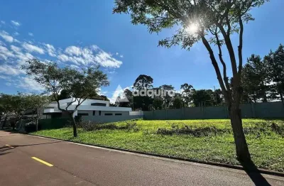 Terreno à venda, terras alphaville, jardim carvalho, ponta grossa, pr