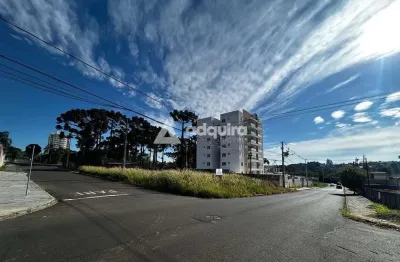 Terreno de esquina à venda, 462m² (14m x 33m). órfãs - vila liane, ponta grossa, pr