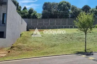 Terreno em condomínio fechado à venda na Rua Engenheiro Grevile, Colônia Dona LuÍza, Ponta Grossa