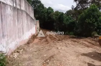 Terreno à venda na Rua Benjamin Franklin, Uvaranas, Ponta Grossa