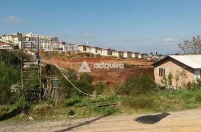 Terreno à venda na Rua Tobias Moscoso, Ronda, Ponta Grossa