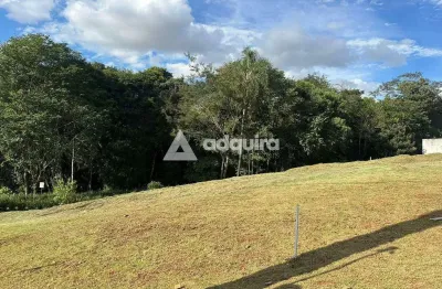 Terreno à venda 315m², colônia dona luíza, ponta grossa - pr