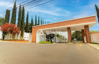 Terreno em condomínio fechado à venda na Avenida União Pan-americana, Colônia Dona LuÍza, Ponta Grossa