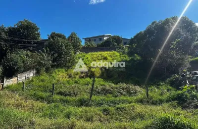 Terreno à venda, contorno - parque auto estrada - 525m² de área (15m x 35m), ponta grossa, pr