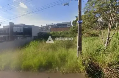 Terreno à venda jardim alphaville, estrela, ponta grossa, pr