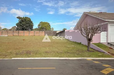 Terreno à venda no condomínio colina dos frades, ponta grossa, pr