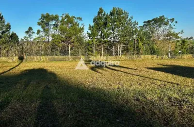 Terreno à venda no condomínio terras alphaville com 617,50m², no jardim carvalho, ponta grossa, pr