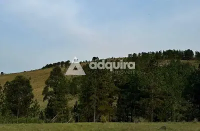 Terreno à venda na Rua Jacob Kuff, Zona Rural, Ponta Grossa