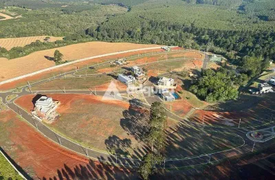 Terreno em condomínio fechado à venda na Rodovia PR-160, Parque Limeira Área 7, Telêmaco Borba