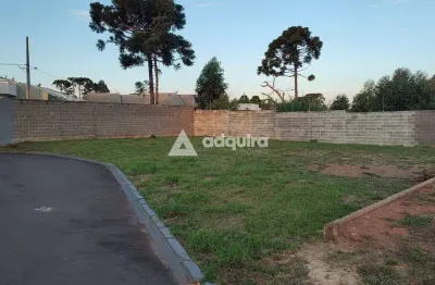 Terreno em condomínio fechado à venda na Rua Siqueira Campos, Uvaranas, Ponta Grossa