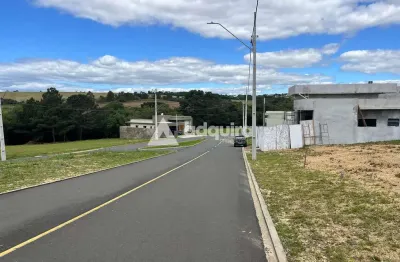 Terreno em condomínio fechado à venda na Avenida Monteiro Lobato, Jardim Carvalho, Ponta Grossa