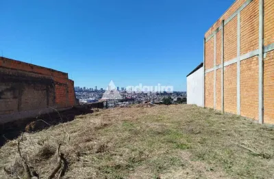 Terreno à venda na vila raquel, com 528 m² de área total (12 metros de frente e 44 metros de lado),