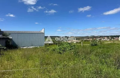 Terreno à venda na Avenida dos Pioneiros, Centro, Carambeí