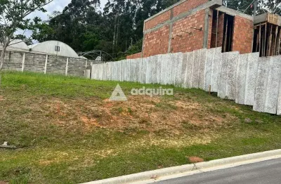 Terreno em condomínio fechado à venda na Avenida Anita Garibaldi, Orfãs, Ponta Grossa