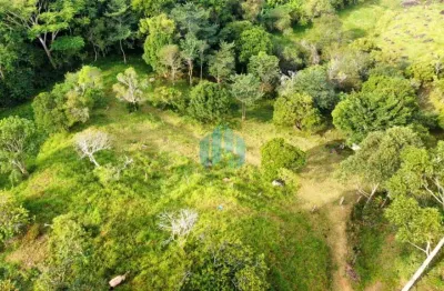 Terreno de 1 hectare, com linda vista p/ mar, bairro macacu, em garopaba!