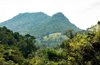 Amplo terreno em garopaba, com vista p/ a pedra branca e a 500 m da cascata encantada.