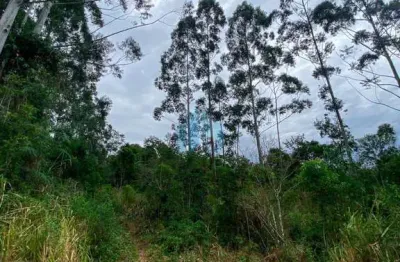 Ótimo terreno localizado no bairro macacu, em garopaba!