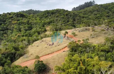 Cinco chácaras a 1,8 km da br - 101, ótimo acesso, penha | paulo lopes - sc