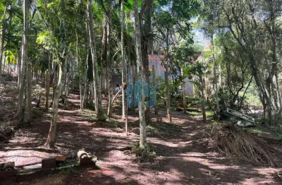 Amplo terreno a 70 m da cachoeira e 1,5 km da praia do siriú, siriú | garopaba - sc