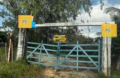 Chácara / sítio com 4 quartos à venda na Rodovia Pb 018, s/n, Centro, Conde