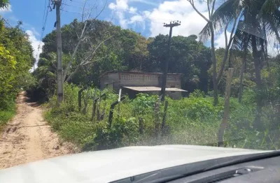 Lote com 2 hectarias à venda no valentina figueredo