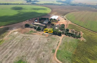 Casa com 5 quartos à venda no Setor Central, Goiás 