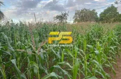 Fazenda com 2 salas à venda no Centro, Bananeiras 