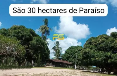 Fazenda à venda na Rodovia Br 101 Km 101, Centro, Conde