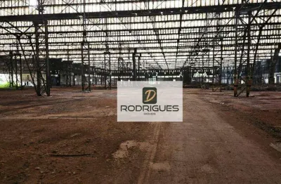 Barracão / Galpão / Depósito para alugar na Rua Alexandre Aliperti, Vila Água Funda, São Paulo