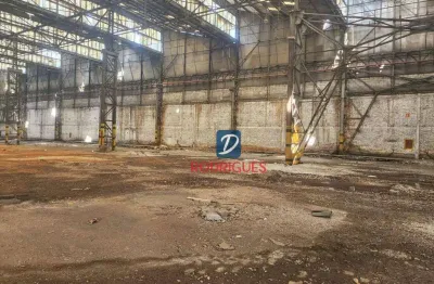 Galpão para alugar, 35000 m² - água funda - são paulo/sp