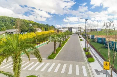 Terreno à venda na rua marginal oeste, 1, monte alegre, camboriú, 300 m2 por r$ 1.150.000